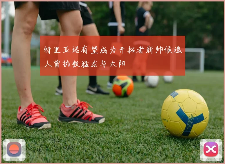 特里亚诺有望成为开拓者新帅候选人曾执教猛龙与太阳