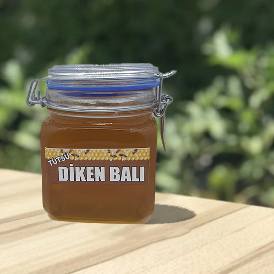Diken Balı (Endemik Tütsü Dikeni) Diken Balı (Endemik Tütsü Dikeni)