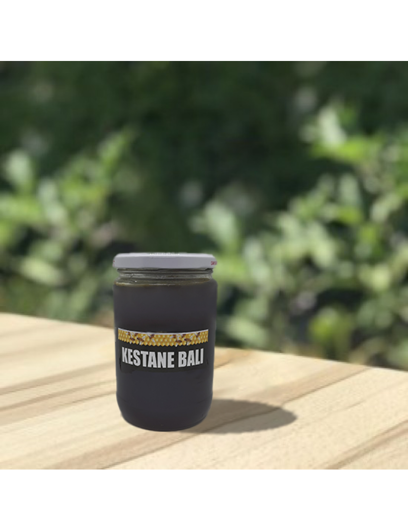 Kestane Balı (Artvin Borçka)860 gr Kestane Balı (Artvin Borçka)860 gr